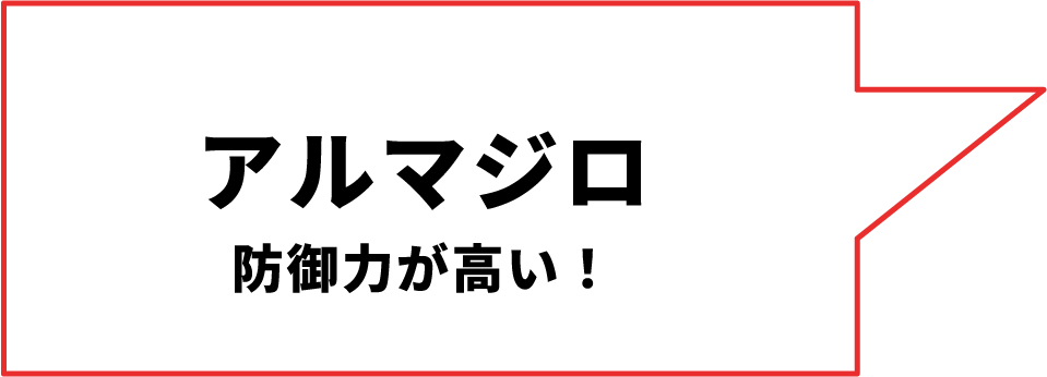 アルマジロ 防御⼒が⾼い！