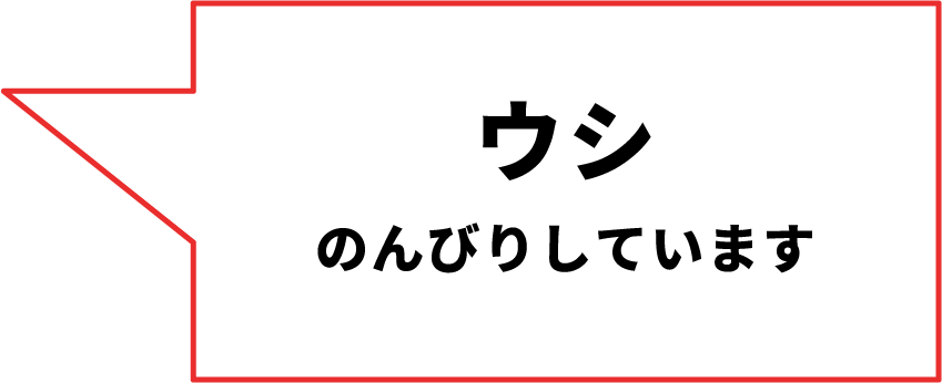 ウシ のんびりしています