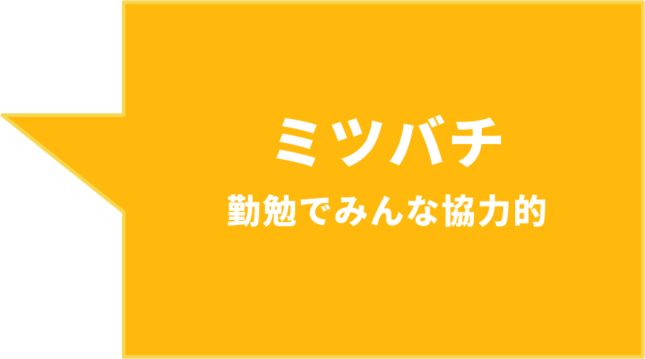 ミツバチ 勤勉でみんな協⼒的